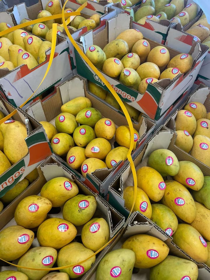 Mango